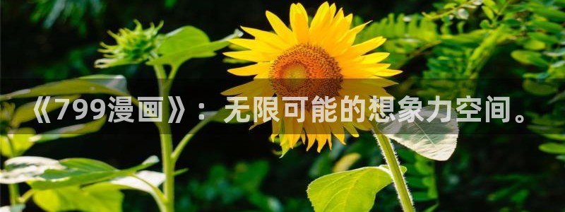 香蕉漫画无遮挡