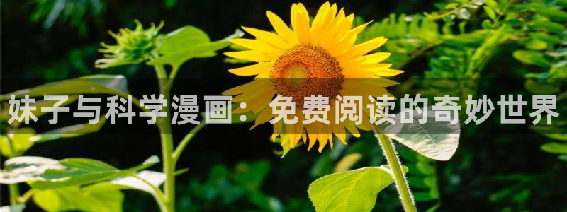 香蕉漫画官