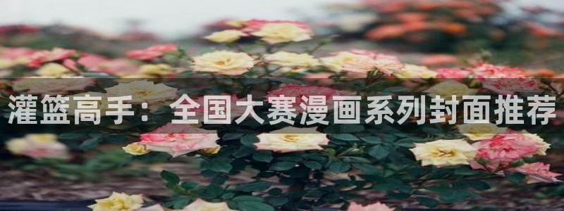 香蕉文化漫画书下拉式最新版本