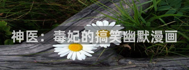 香蕉漫画网络