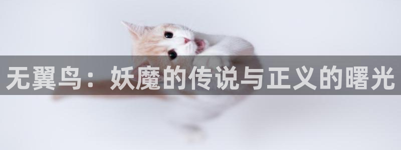 香蕉漫画版本