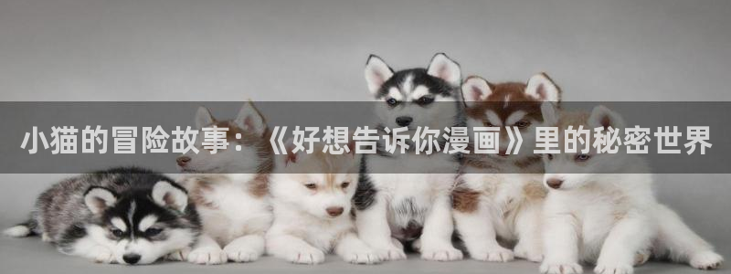香蕉文化漫画书免费阅读平台网页