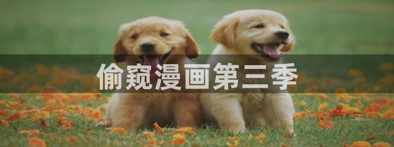 韩国漫画香蕉