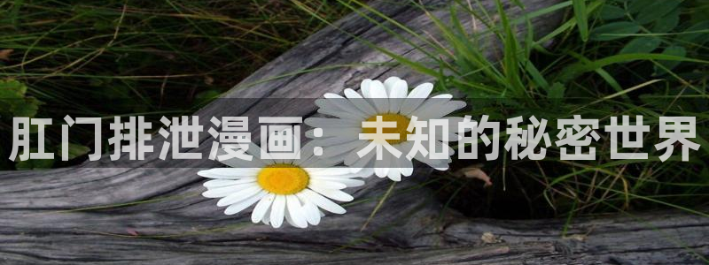 香蕉文化漫画免费阅读平台