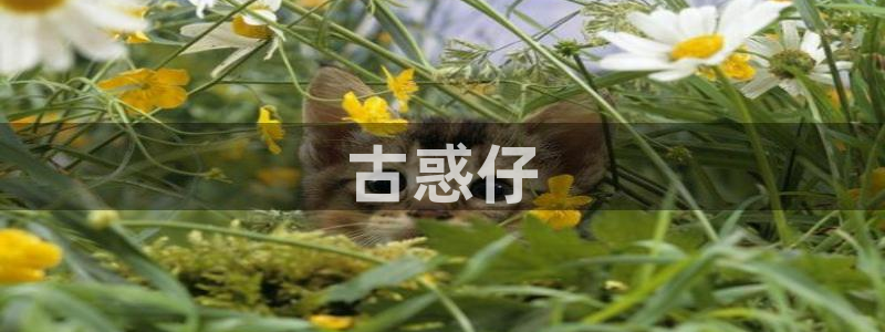 香蕉文化怎么免费读漫画
